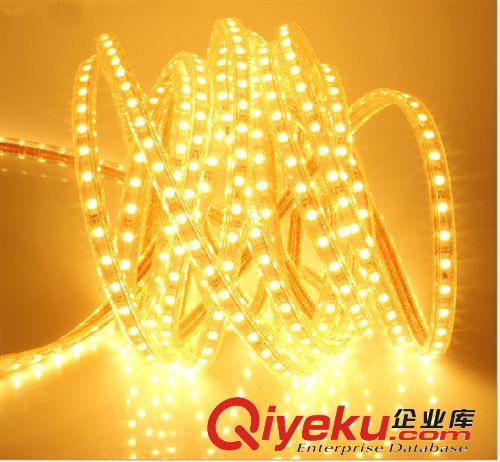 千譽防水高壓5050LED貼片燈帶 燈條 柔性 軟燈條220v廠家直銷