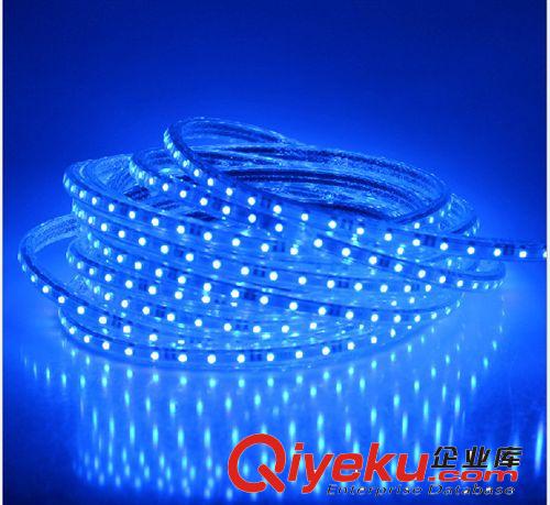 千譽防水高壓5050LED貼片燈帶 燈條 柔性 軟燈條220v廠家直銷原始圖片3