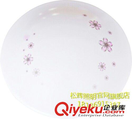 常州供應(yīng)精美純?nèi)庠纯钍蕉鄻踊奢x燈飾節(jié)能環(huán)保吸頂燈8816