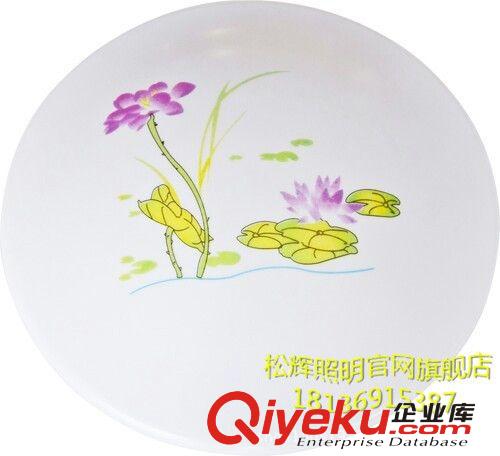 常州供應(yīng)精美純?nèi)庠纯钍蕉鄻踊奢x燈飾節(jié)能環(huán)保吸頂燈8816