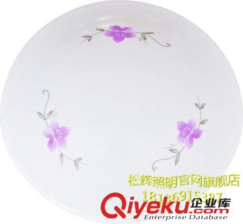 廠家直銷大拉伸Led亞克力罩子ED吸頂燈房間燈廚房燈客廳燈8821