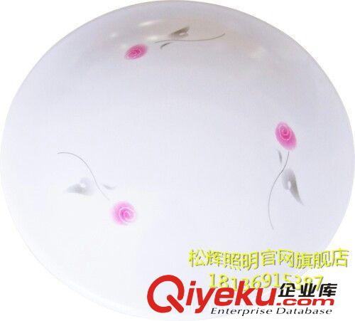廠家直銷大拉伸Led亞克力罩子ED吸頂燈房間燈廚房燈客廳燈8821