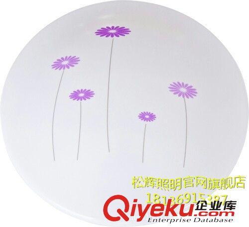 廠家直銷大拉伸Led亞克力罩子ED吸頂燈房間燈廚房燈客廳燈8821