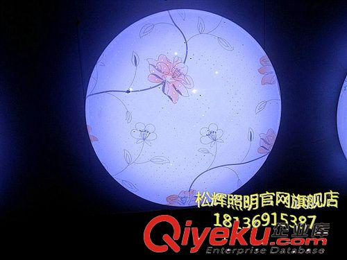 供應新款LED蘋果創意花紋圖案面包吸頂燈 價格優惠量大從優