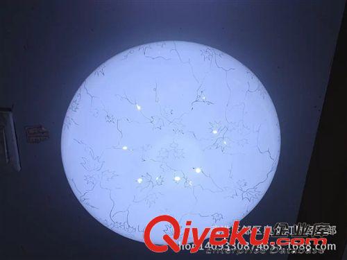 LED吸頂燈 臥室燈 圓吸頂燈 新款大拉伸 異形吸頂燈原始圖片2