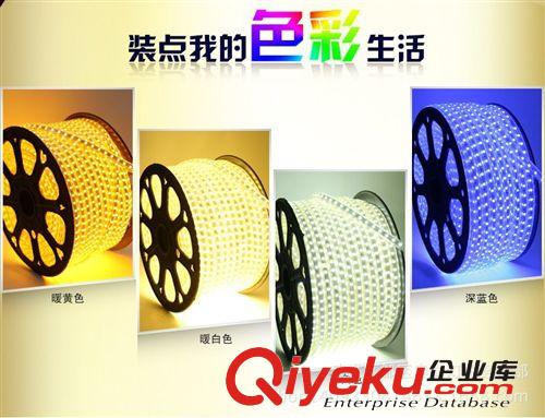 一米60珠防電防水高壓5050LED貼片燈帶 柔性 軟燈條220v廠家直銷
