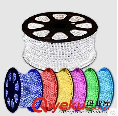 一米60珠防電防水高壓5050LED貼片燈帶 柔性 軟燈條220v廠家直銷