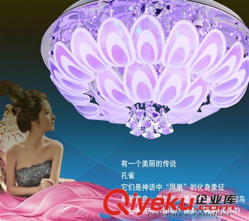 廠家直銷LED簡約時尚吸頂燈臥室客廳孔雀水晶燈餐廳燈具支持混批原始圖片3