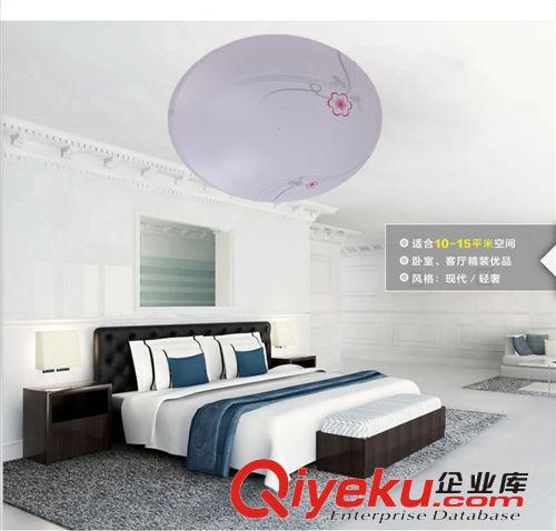 廠家直銷 客廳燈現(xiàn)代簡約臥室燈具 餐廳LED四段調光吸頂燈原始圖片3