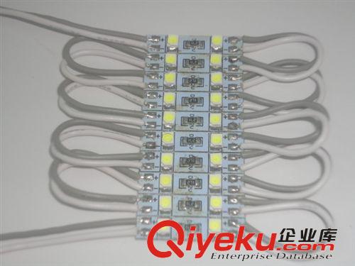 【tj】廠家批發(fā)LED廣告模組貼片模組SMD3528防水模組白光保2年原始圖片3