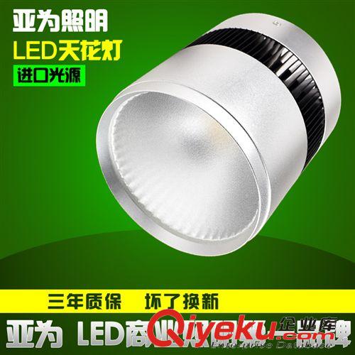 led斗膽燈 ar111雙頭射燈 7W 12W三頭豆膽燈 LED格柵射燈