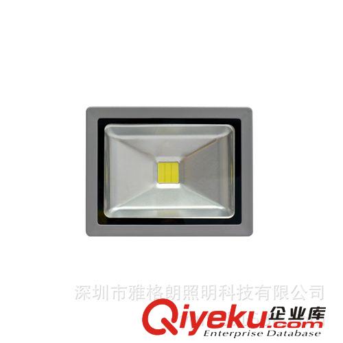 【厂家直销】 LED投光灯 30W 厂区广告牌户外灯具  保用八年