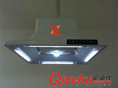【工廠直銷】LED凈化mj燈-LED光源自動升降原始圖片2