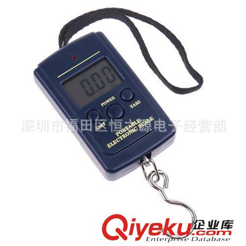 行李稱50KG/10G便攜式手提秤