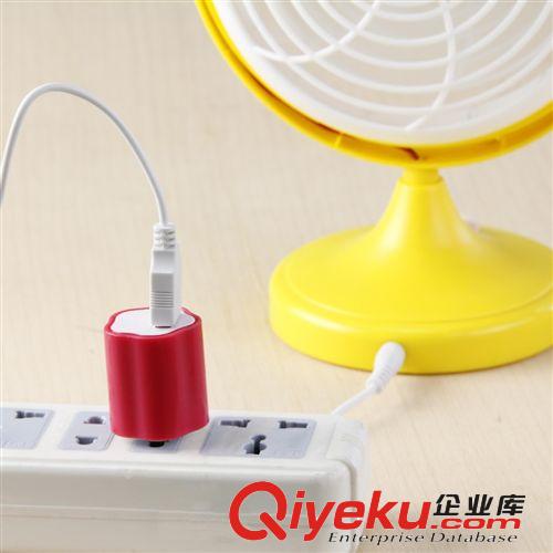 【廠家直供】 充電器5V1A usb適配器USB充電器原始圖片2