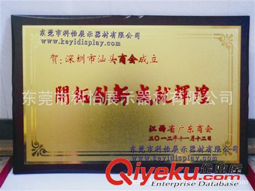 廠家定做中國zm品牌獎牌 公司品牌企業代理獎牌  專賣店授權牌原始圖片3