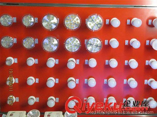 12W 超亮度 220V LED 燈泡 晶原燈芯 質(zhì)量保證