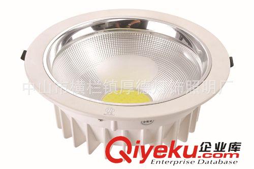 熱銷推薦8寸大功率LEDCOB壓鑄筒燈 HDSZ134原始圖片3