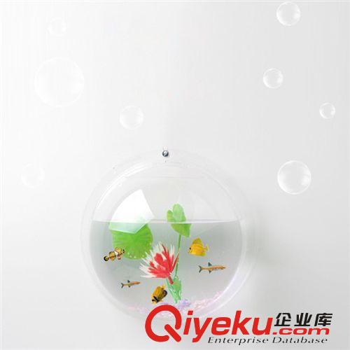 透明生態(tài)迷你壁掛魚缸 大號(hào)圓形心形亞克力魚缸
