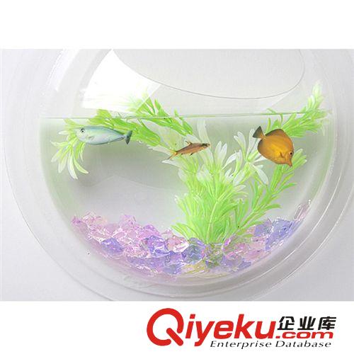 透明生態(tài)迷你壁掛魚缸 中號心形亞克力魚缸
