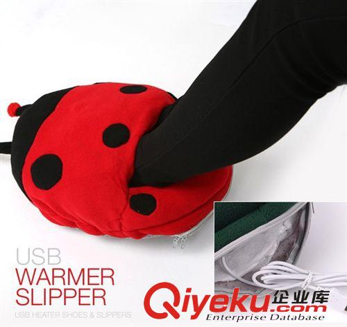 甲蟲USB暖手暖腳寶 暖腳器 電暖午休枕抱枕靠墊原始圖片2