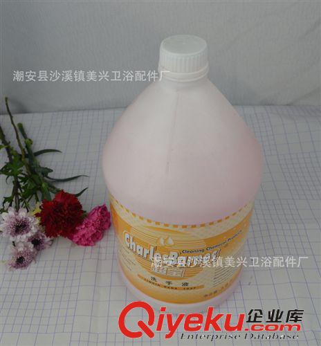 洗手液 潤(rùn)膚清洗劑 洗手清潔劑 生活清潔用品 超寶DFF010原始圖片3