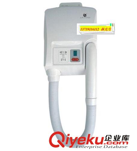 電吹風(fēng)廠家 專業(yè)供應(yīng)電吹風(fēng)機(jī) 迷你吹風(fēng)機(jī) 酒店壁掛電吹風(fēng) 干發(fā)器