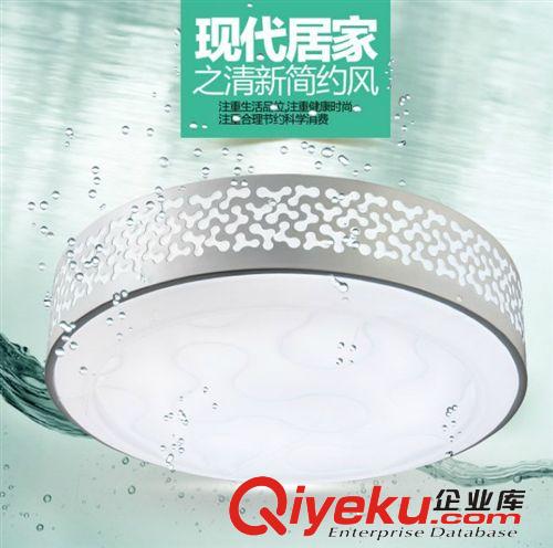 智造照明精美時(shí)尚l(wèi)ed吸頂燈陽臺燈客廳鐵藝吸頂燈書房燈具原始圖片2
