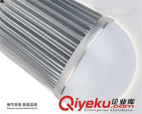 智造照明超低價高亮12-24WLED燈泡LED球泡原始圖片3