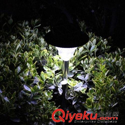廠家直銷超高亮度戶外太陽(yáng)能20LED草坪燈落地式庭院花園燈批發(fā)原始圖片3