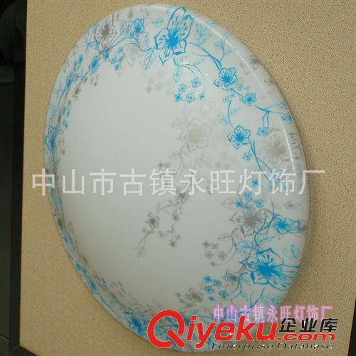 火爆熱銷LED吸頂燈 現(xiàn)代客廳燈 亞克力創(chuàng)意吸頂燈原始圖片2
