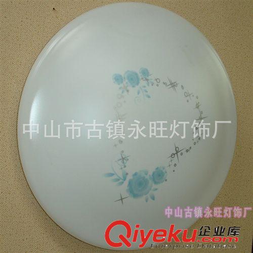 廠家直銷 亞克力LED吸頂燈 磨幻石創(chuàng)意吸頂燈 鳳尾草簡(jiǎn)約吸頂燈原始圖片2