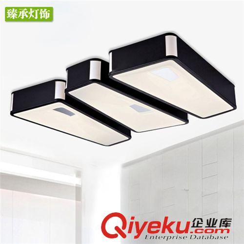 臻承 鐵藝led吸頂燈 現(xiàn)代簡(jiǎn)約時(shí)尚客廳臥室燈飾異形燈具6013原始圖片2