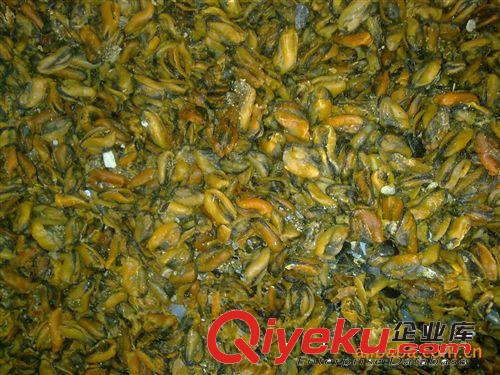 供應(yīng)淡菜 廣東名產(chǎn) 大粒 海產(chǎn)品 干制 色澤好 推薦 暢銷 淡菜