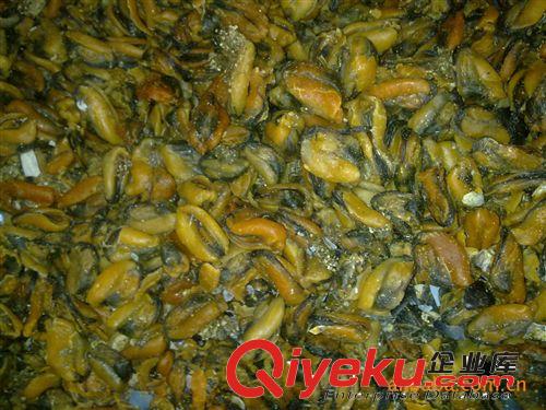 供應(yīng)淡菜 廣東名產(chǎn) 大粒 海產(chǎn)品 干制 色澤好 推薦 暢銷 淡菜