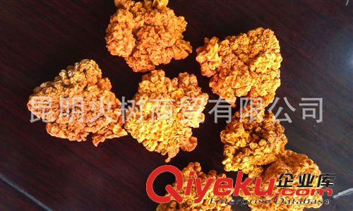 云南廠家批發(fā)野生美味黃耳 野生金耳菌 農(nóng)副產(chǎn)品干貨