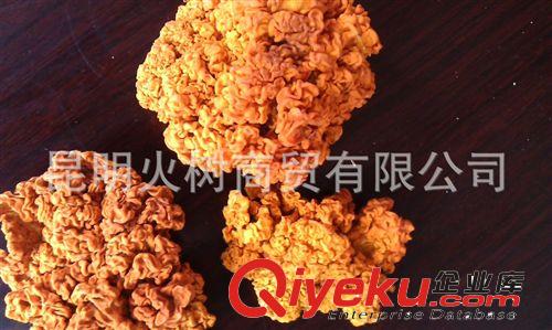 云南廠家批發(fā)野生美味黃耳 野生金耳菌 農(nóng)副產(chǎn)品干貨