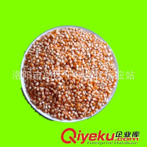 爆米花專用玉米 爆花率98%  餐飲店 1原始圖片2