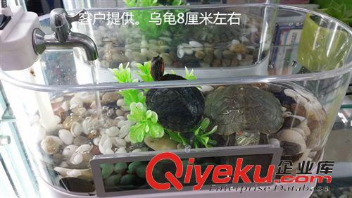 創意電子魚缸 多功能生態觀賞水族箱 USB迷你禮品活魚缸 生日禮物原始圖片3
