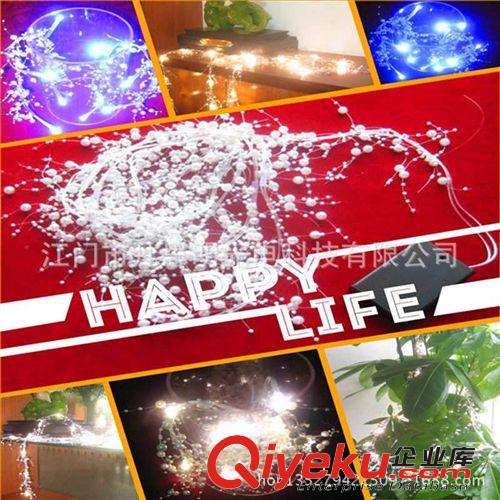 專業(yè)生產銷售led圣誕彩燈 節(jié)日彩燈