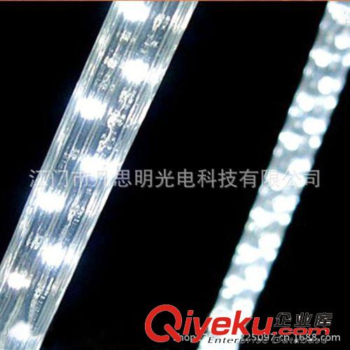 廠家批發(fā)led扁三線 彩虹管燈帶 9.5*17MM原始圖片2