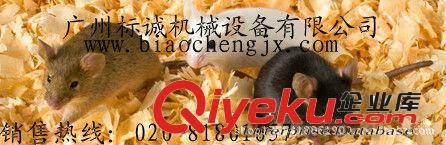 廣州深圳廠家直銷木材刨花機木塊刨花機新型刨花機刨花機大促銷原始圖片3