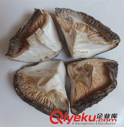 專業供應廣州香菇腿 廣東香菇腿 香菇脆片批發 廣州香菇腳 香姑