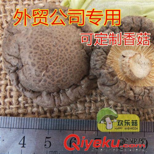 專業生產浙江香菇柄 廣東香菇根批發 安徽香菇柄