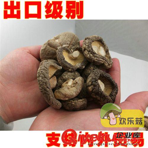 供應(yīng)一級土特產(chǎn)一級統(tǒng)裝厚菇 野生冬菇 香菇銷售 食用菌批發(fā)原始圖片2