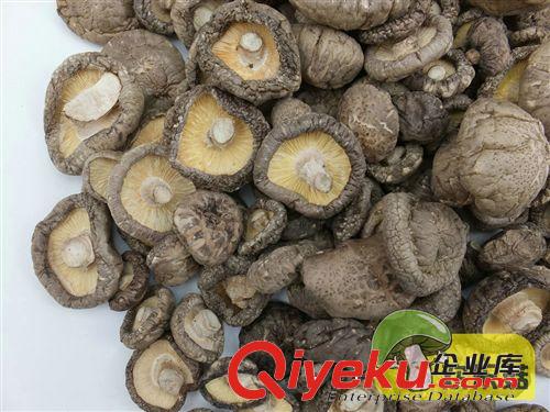 供應(yīng)一級土特產(chǎn)一級統(tǒng)裝厚菇 野生冬菇 香菇銷售 食用菌批發(fā)原始圖片3