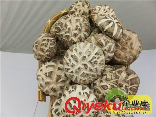產(chǎn)地直銷香菇多糖專用定制干花菇 房縣香菇 4cm以上{dj0}白花菇原始圖片3