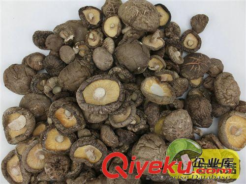 食用菌批發古田干香菇 4cm以上{dj0}香菇 干香菇價格優惠原始圖片3