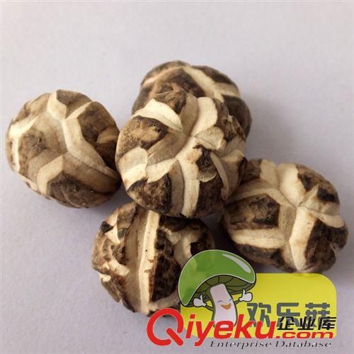 食用菌批發古田干香菇 4cm以上{dj0}香菇 干香菇價格優惠