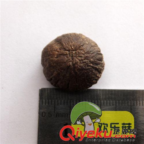 農家自種香菇干貨 深圳小香菇批發 小冬菇包裝袋 食品級別原始圖片3